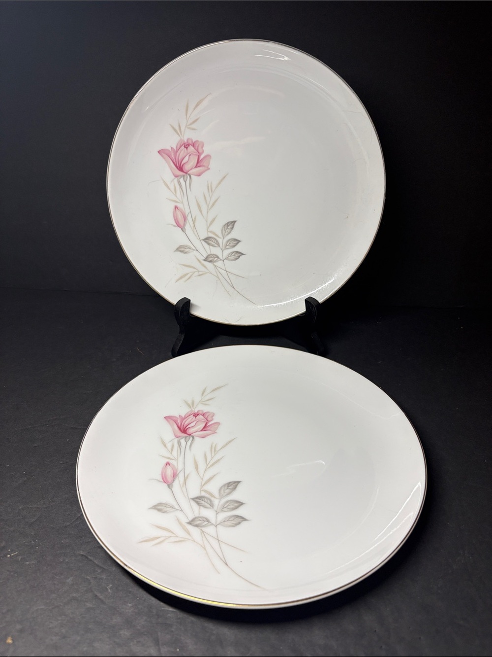 2~ Camelot China American Rose 10” Dinner Plates Pink Floral Cottage Core